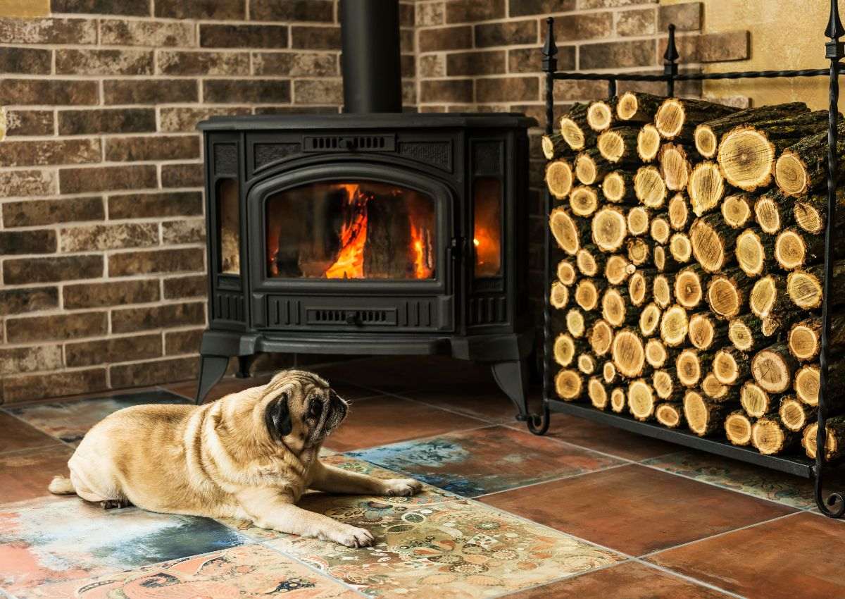 Un carlin relaxant devant un poêle à bois, avec un tas de bûches à côté. L'ambiance chaleureuse rappelle l'efficacité d'une bougie résistance d'allumage céramique pour poêle à granulé et la fiabilité d'un motoréducteur pour poêle à granulés.