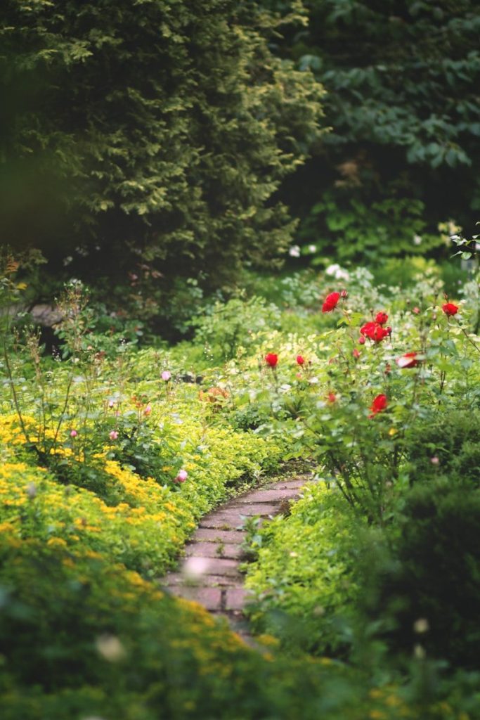 Jardin