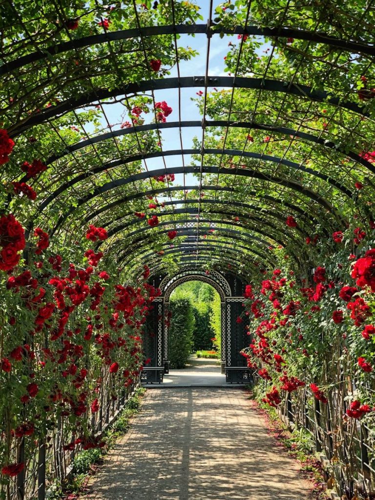 Jardin