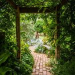 Jardin