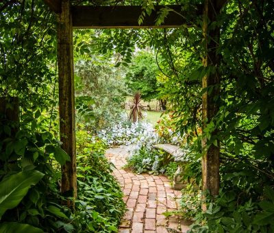 Jardin