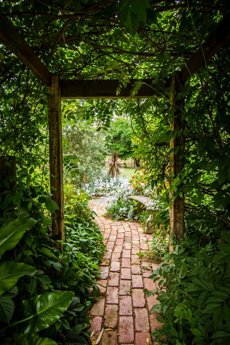 Jardin
