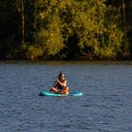 Une personne pratique le stand up paddle sur un lac calme entouré de forêt